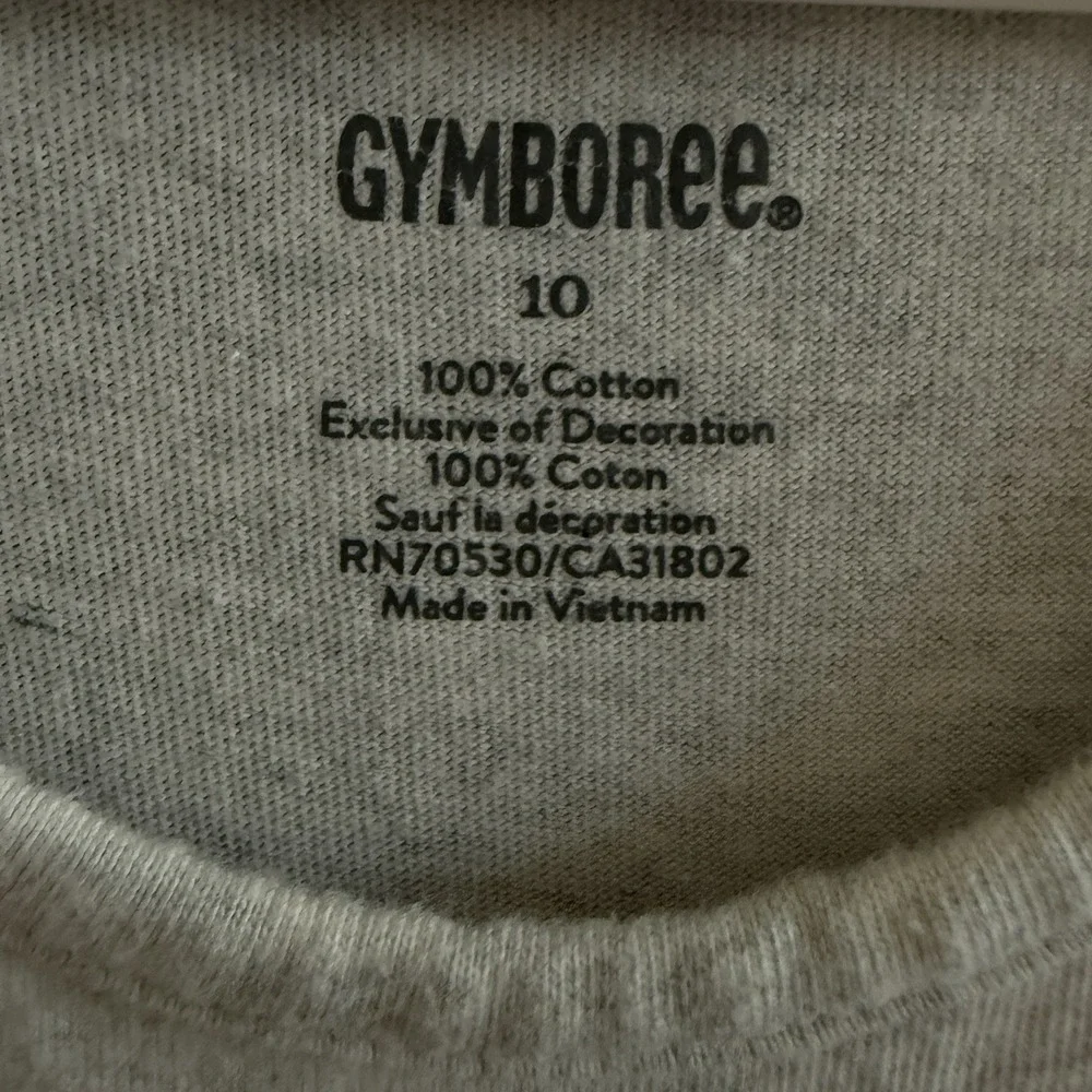Gymboree Girls Tunic Dress Heather Grey, Pink Stripe Sleeve & Floral Pocket 10